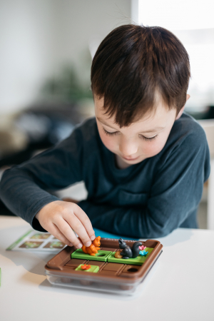 SQUIRRELS GO NUTS, joc de logica Smart Games [2]