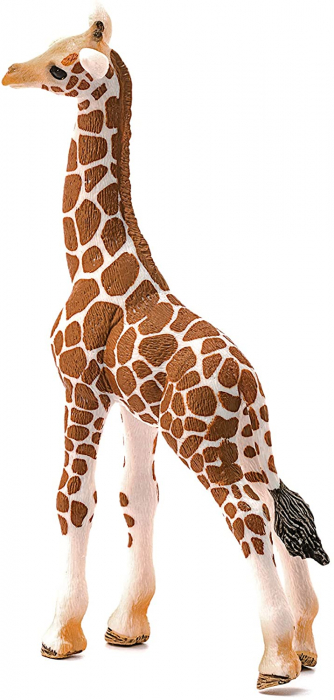Girafa, pui - Figurina Schleich 14751 [2]