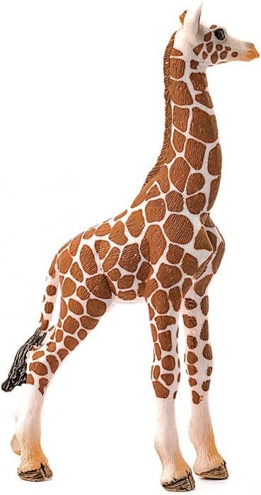 Girafa, pui - Figurina Schleich 14751 [4]