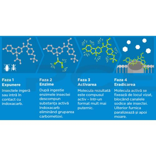 Advion Furnici Gel, 30 g, Eliminare Furnici + Kit Aplicare LittleDomi (Aplicator cu Piston, Bete de Portocal, Manusi) [5]