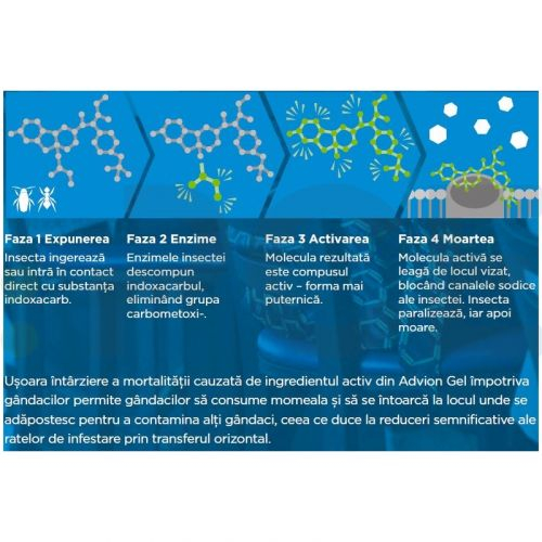 Advion Gandaci Gel 30g, Eliminare Gandaci + Kit Aplicare LittleDomi (Aplicator cu Piston, Bete de Portocal, Manusi) [7]