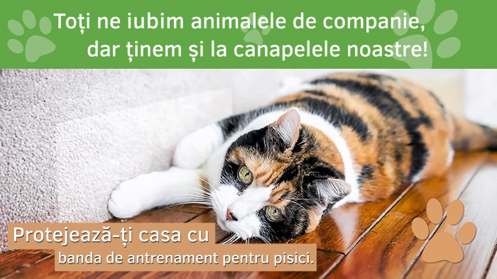 Rola Autoadeziva, LittleDomi, pentru Protectie Impotriva Zgarieturilor de Pisici si Caini, Polietilena, Rezistenta la Apa, 0.76mmx27m, Transparent [6]