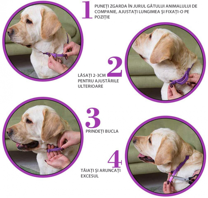 Zgarda cu Efect Calmant pentru Caini, Feromoni Naturali, Reduce Anxietatea si Agresivitatea Animalelor de Companie, 62*1cm, protectie  pana la 3 luni [6]