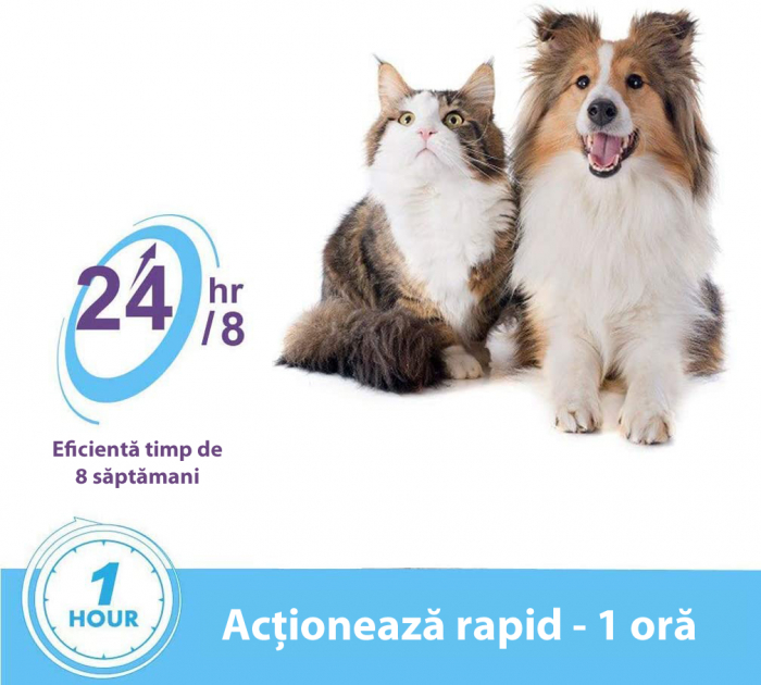 Zgarda cu Efect Calmant pentru Caini, Feromoni Naturali, Reduce Anxietatea si Agresivitatea Animalelor de Companie, 62*1cm, protectie  pana la 3 luni [2]