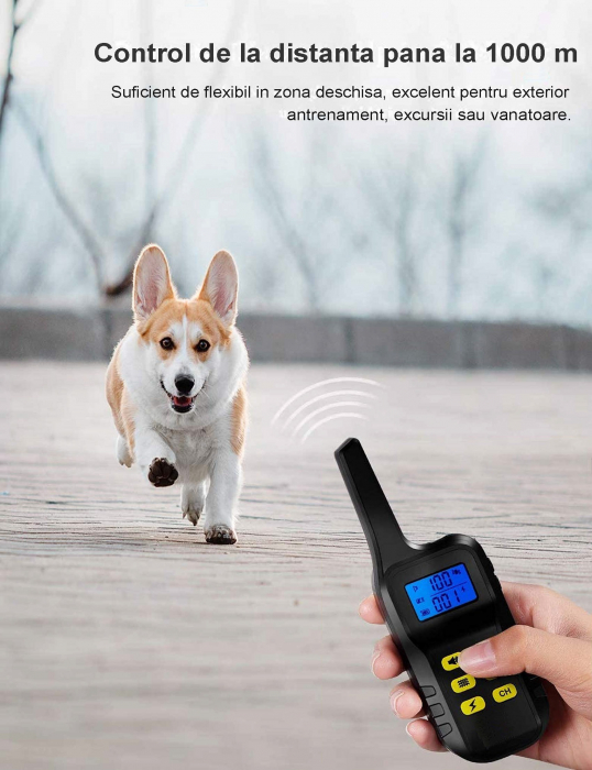 Zgarda Electrica pentru Dresaj Caini, LD-193, 99 Nivele de Vibratii, Raza Actiune 1000m, Reincarcabila, IP6x - Rezistenta la Apa si Praf, Electrozi Cauciucati, Protectie Piele, Power Saving, Lanterna, [4]