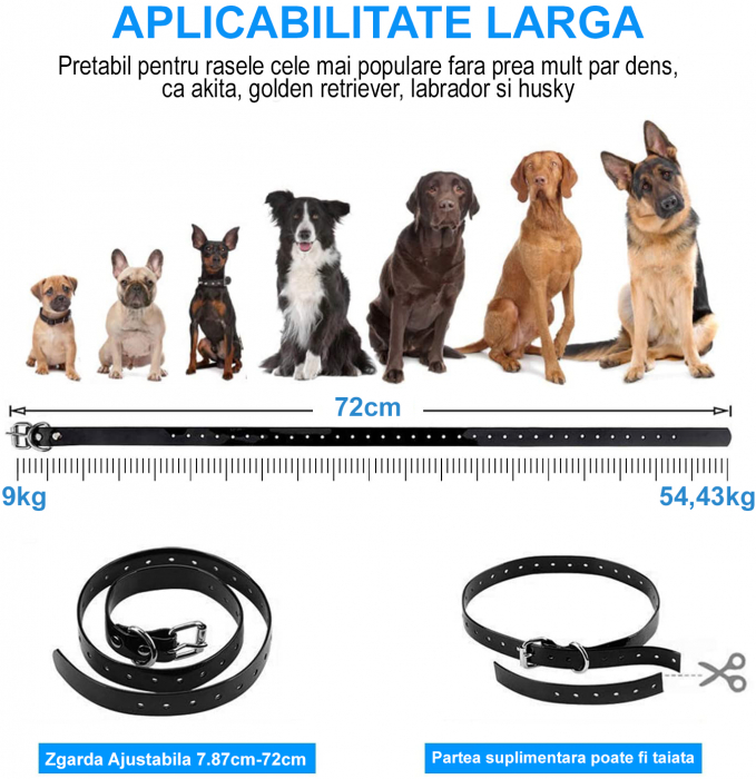 Zgarda Electrica pentru Dresaj Caini, LD-880,99 Nivele de Vibratii,Ghid Dresaj, Raza Actiune 800m,Reincarcabila,IP6x - Rezistenta la Apa si Praf, Electrozi Cauciucati, Protectie Piele, Power Saving, C [4]