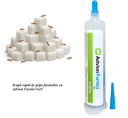 Advion Furnici Gel, 30 g, Eliminare Furnici + Kit Aplicare LittleDomi (Aplicator cu Piston, Bete de Portocal, Manusi) [2]