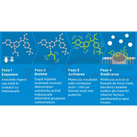 Advion Furnici Gel, 30 g, Eliminare Furnici + Kit Aplicare LittleDomi (Aplicator cu Piston, Bete de Portocal, Manusi) [4]
