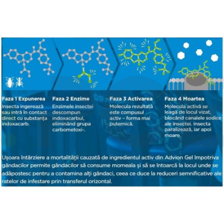 Advion Gandaci Gel 30g, Eliminare Gandaci + Kit Aplicare LittleDomi (Aplicator cu Piston, Bete de Portocal, Manusi) [6]