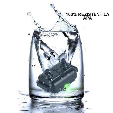 Zgarda Electrica pentru Dresaj Caini, LD-880,99 Nivele de Vibratii,Ghid Dresaj, Raza Actiune 800m,Reincarcabila,IP6x - Rezistenta la Apa si Praf, Electrozi Cauciucati, Protectie Piele, Power Saving, C [4]