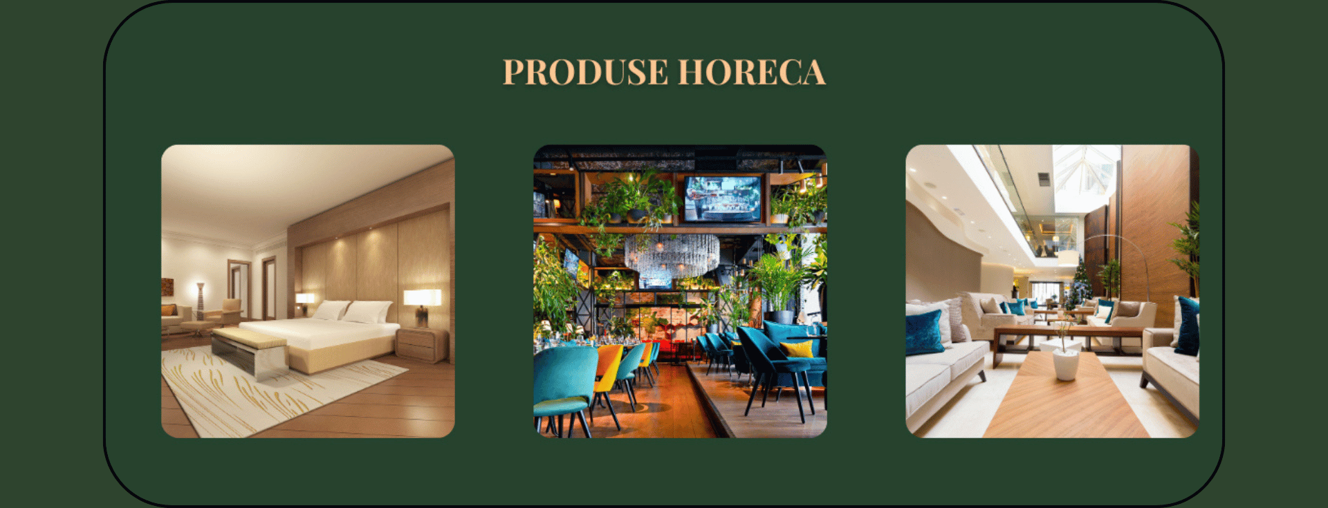 PRODUSE HORECA DESK