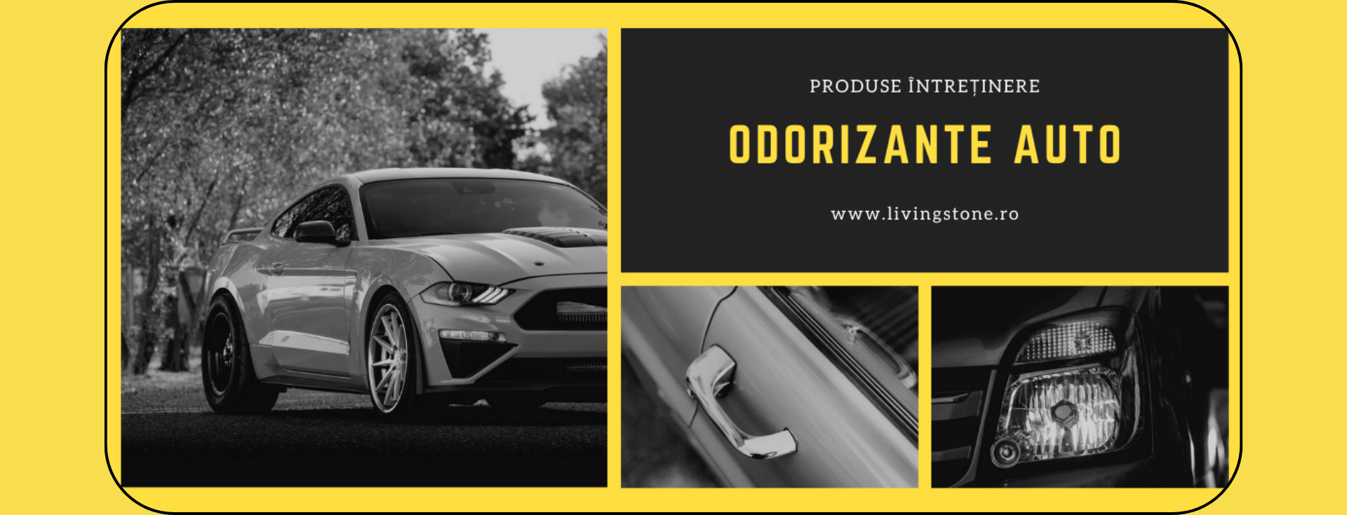 ODORIZANTE AUTO DESK