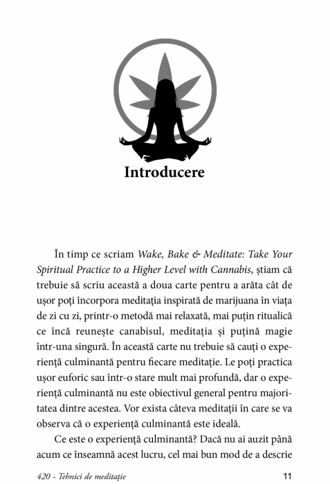 420 Tehnici de Meditatie [3]