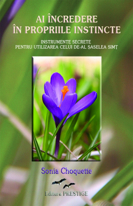 Ai incredere in propriile instincte - Sonia Choquette [2]