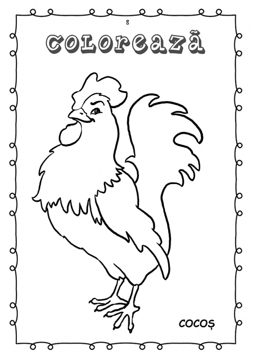 Animale si pasari din ograda - carte de colorat [2]