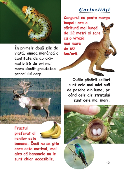 Curiozitati din lumea animalelor [2]
