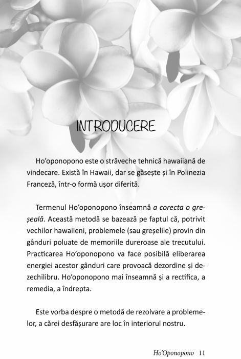 Ho'Oponopono [5]