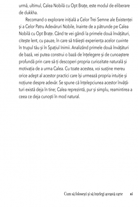 Invataturile lui Buddha pentru Incepatori de Emily Griffith Burke [7]