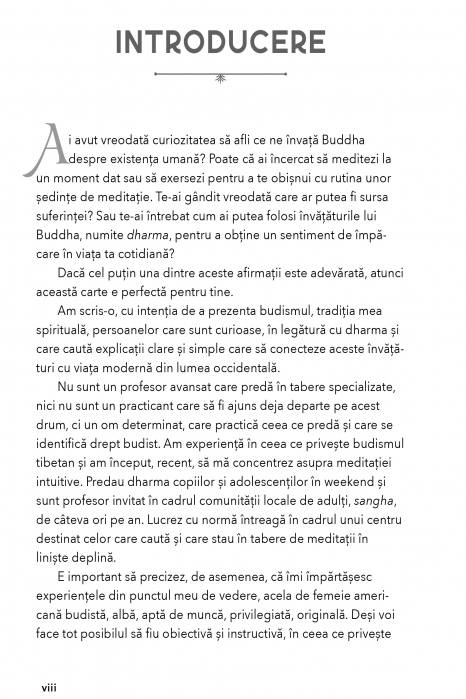 Invataturile lui Buddha pentru Incepatori de Emily Griffith Burke [4]