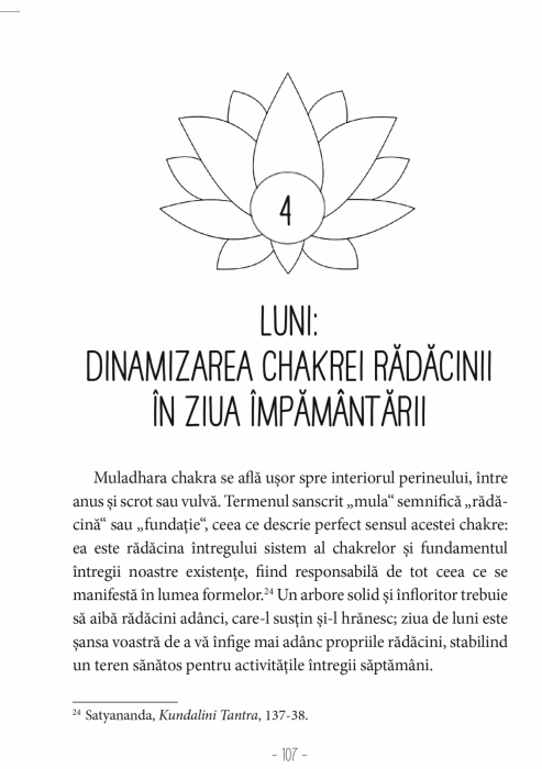 Sapte Zile Despre Chakre [6]