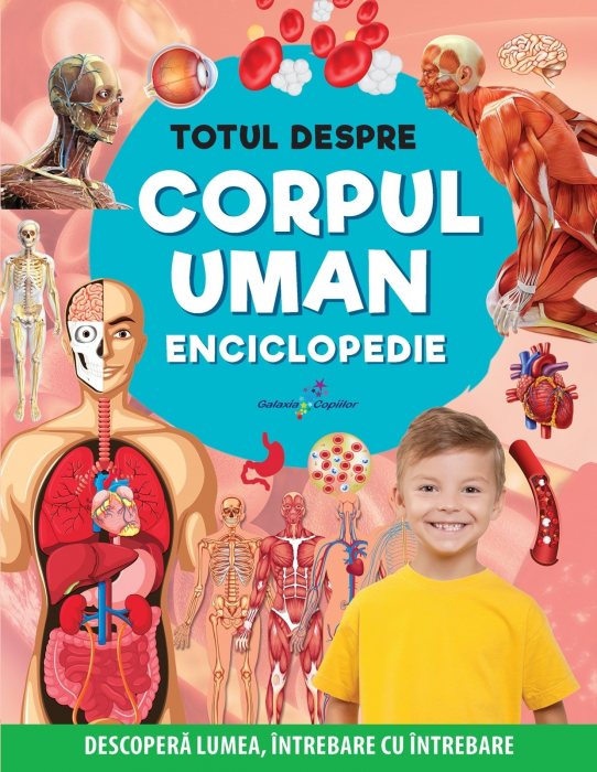 Totul despre corpul uman. Enciclopedie. Descopera lumea, intrebare cu intrebare [1]