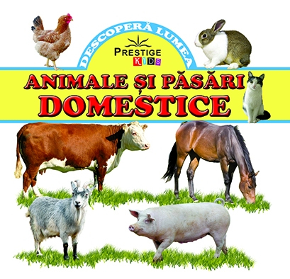 Animale si pasari domestice [0]
