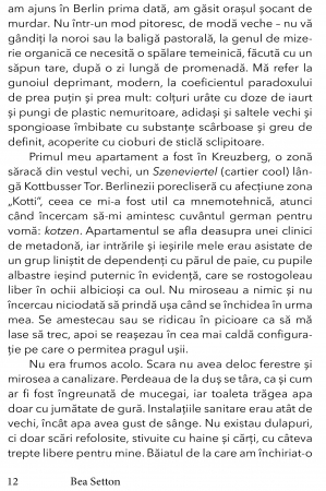 Berlin. Un dusman in oras de Bea Setton [2]