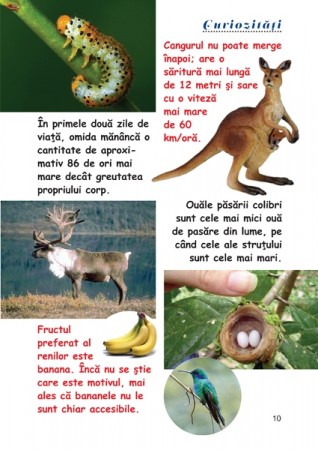 Curiozitati din lumea animalelor [1]