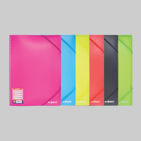 Organizare si Arhivare - Dosar plastic cu 20 file spiralate