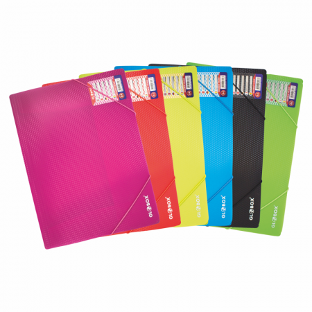Organizare si Arhivare - Mapa plastic A4 cu elastic la colturi