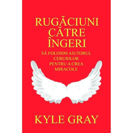 Dezvoltare Personala - Rugaciuni catre ingeri de Kyle Gray
