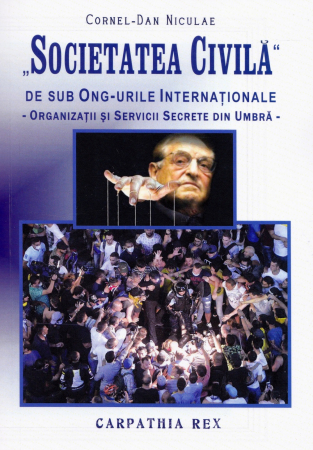 Istorie & Filosofie - Societatea Civila de sub Ong-urile internationale de Cornel Dan Niculae