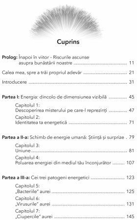 Stapaneste-ti propria energie. Dezvolta-ti imunitatea la energia toxica si mentine-ti forta de viata autentica [1]