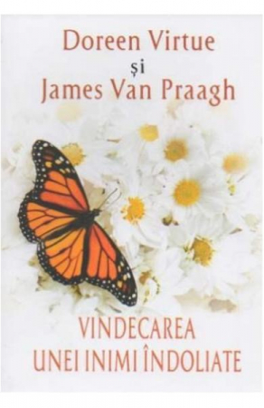 Minte Corp - Vindecarea Unei Inimi Indoliate de Doreen Virtue, James Van Praagh