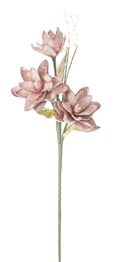 Magnolia x3 roz cm ø 30x90 [1]