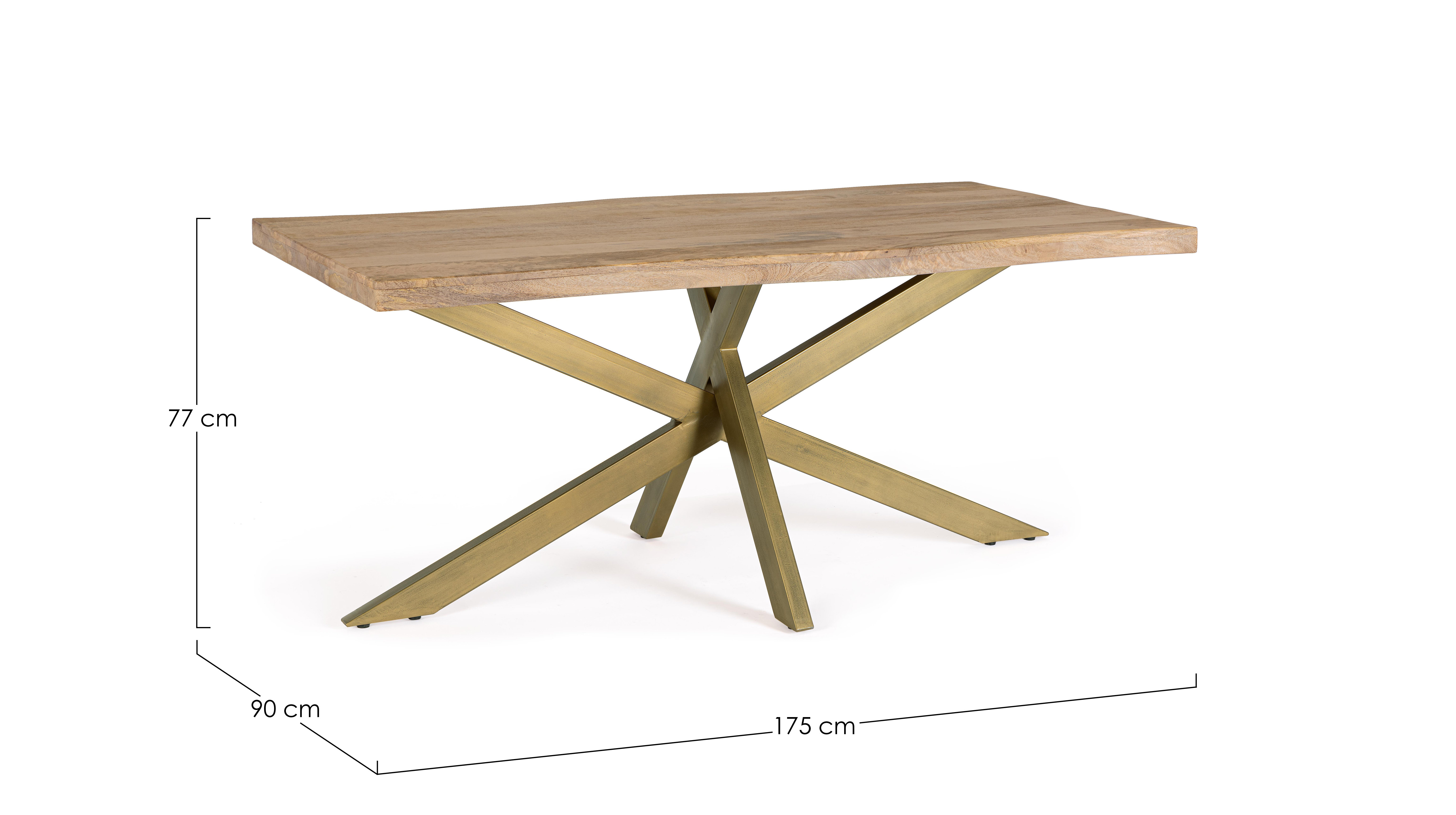 Masa Jaidev 175X90 [4]