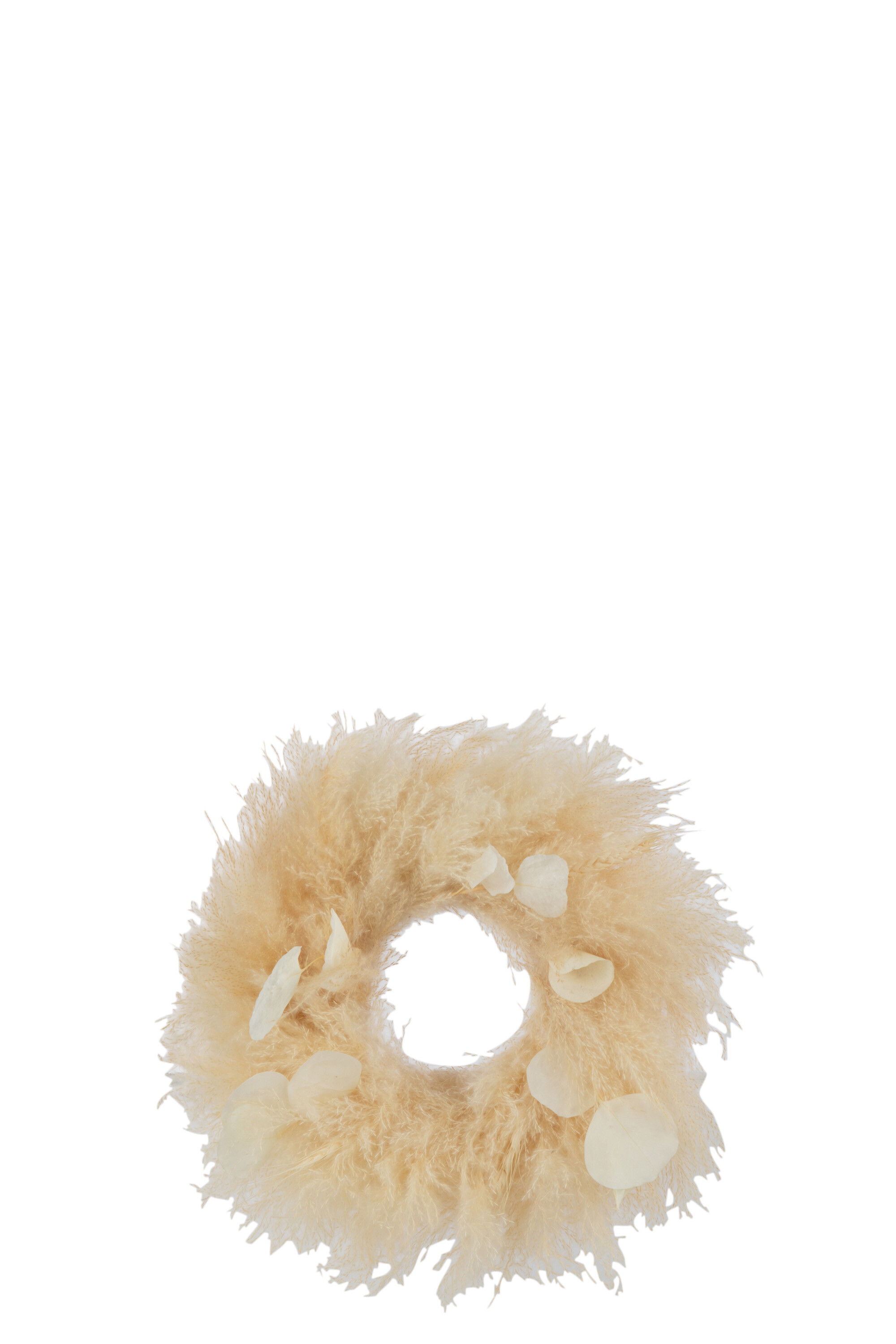 SALE % - Coronita, FLORI USCATE, S