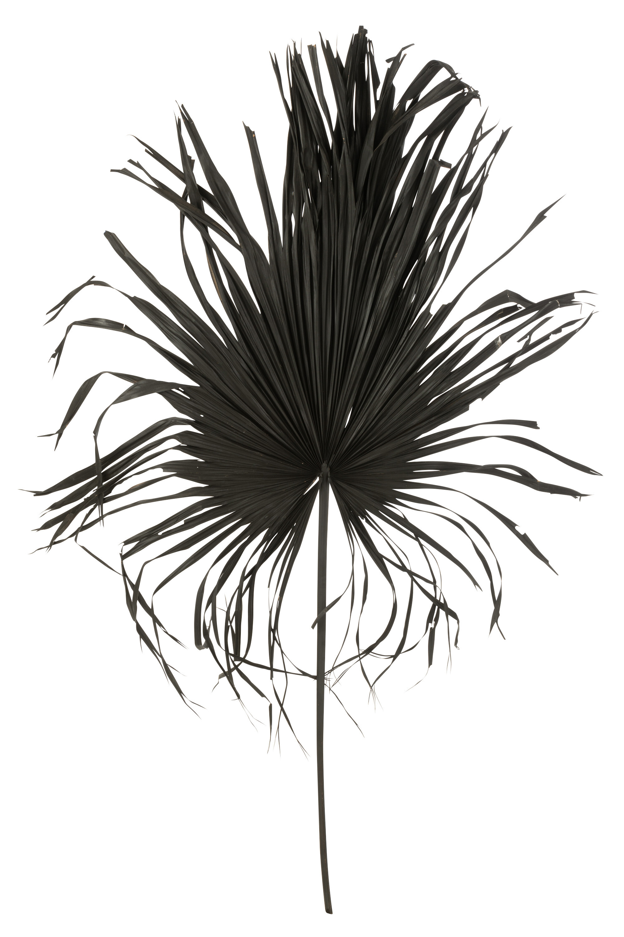 SALE % - Planta artificiala, PALMTREE LEAF