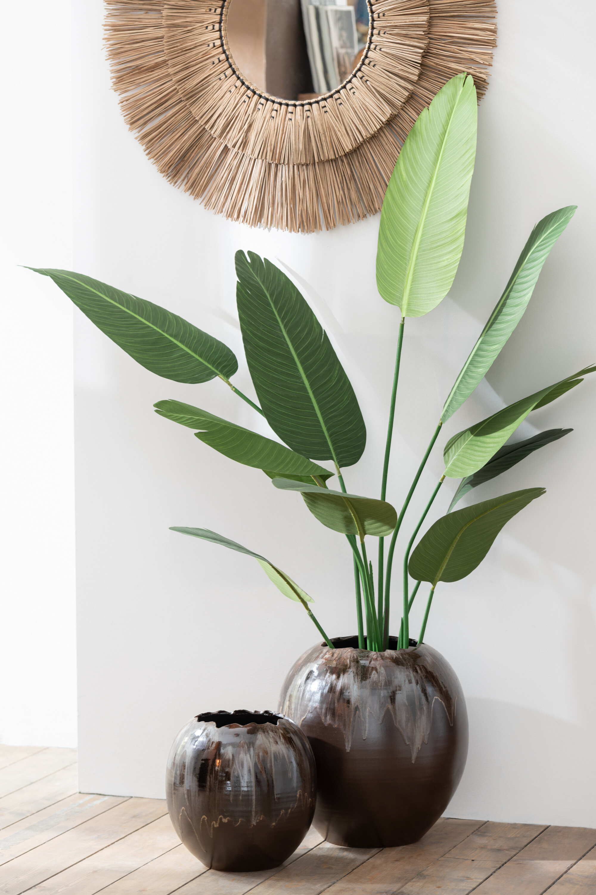 SALE % - Ghivece pentru flori, CORA, M