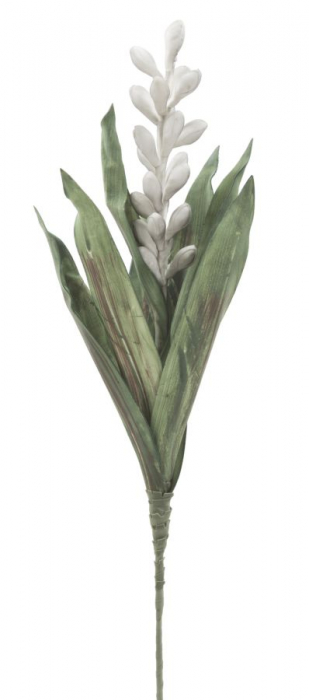 Aloe floare gri cm o 23x93
