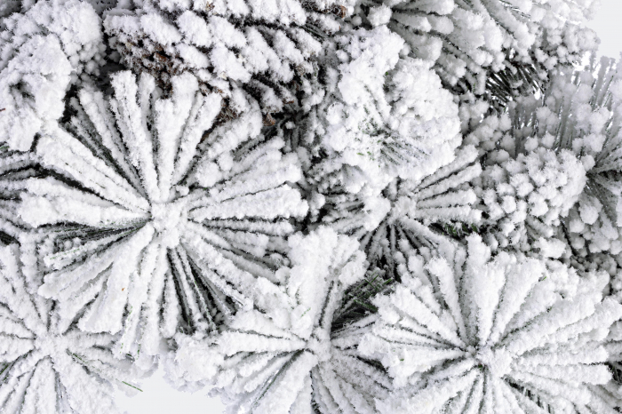 Arves, Coronita de Craciun cu zăpadă D60 [2]