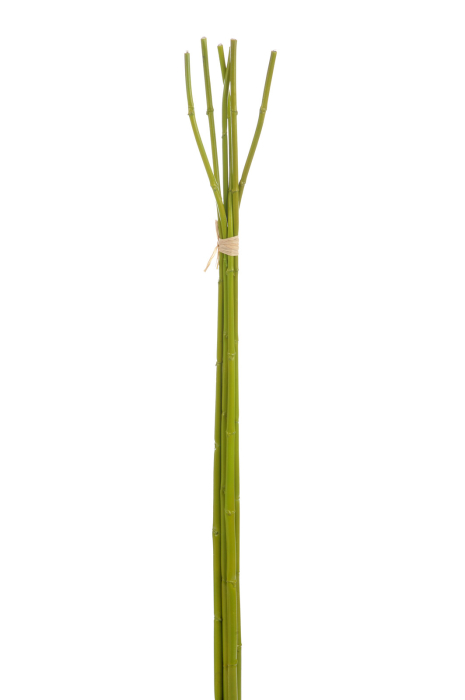 Bambus, Plastic, Verde, 110x10x5 cm [1]