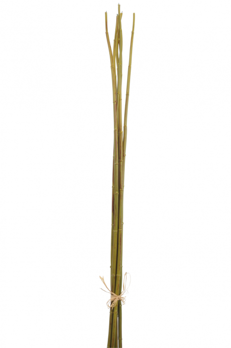 Bambus, Plastic, Verde, 4x3.5x110 cm
