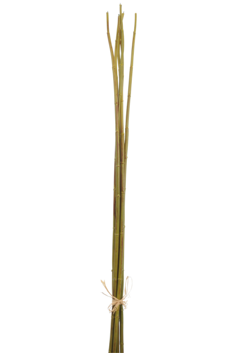 Bambus, Plastic, Verde, 4x3.5x110 cm [1]