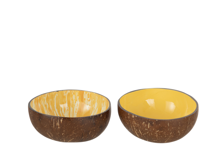 Bol, Jumătate de Cocos Ass2 [2]