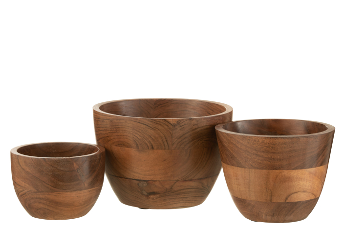 Bol, KOTA, ACACIA, L [4]