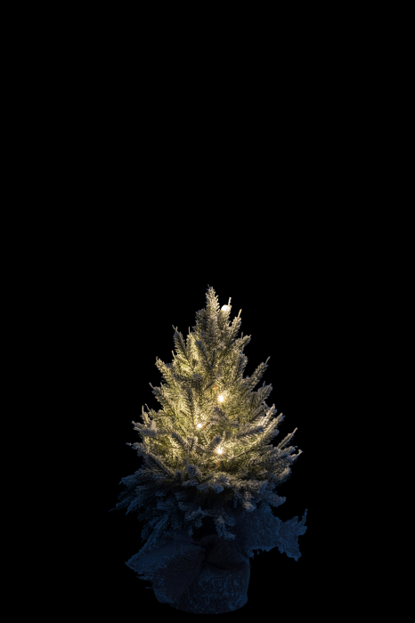 Brad Craciun LED, Plastic, Verde, 20x20x45 cm [3]