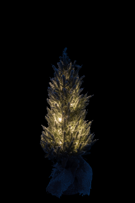 Brad Craciun LED, Plastic, Verde, 29x29x58 cm [3]