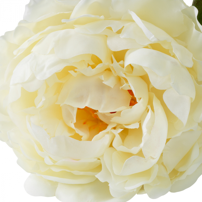 Buchet Bujori tonuri albe, real touch, 48 buc/2 soiuri [5]
