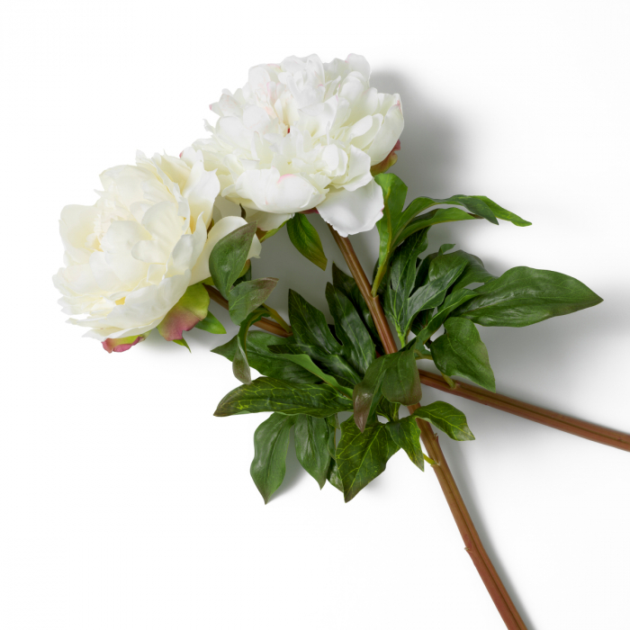 Buchet Bujori tonuri albe, real touch, 48 buc/2 soiuri [3]